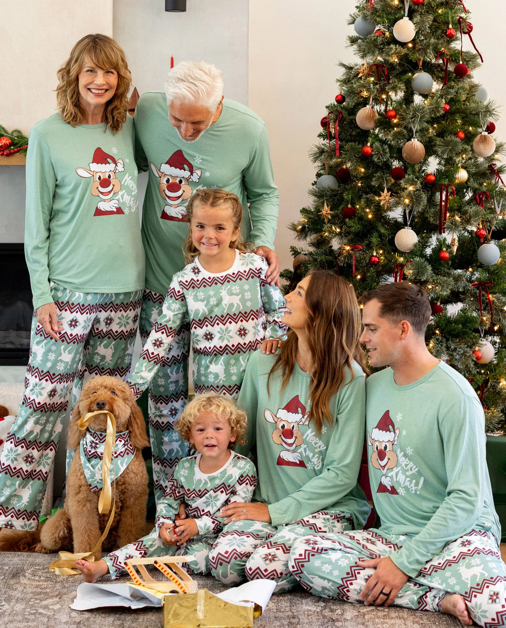 Christmas Matching Family Pajamas Set Christmas Spirit and Snowflake Print PJS with Christmas Socks Pale Green