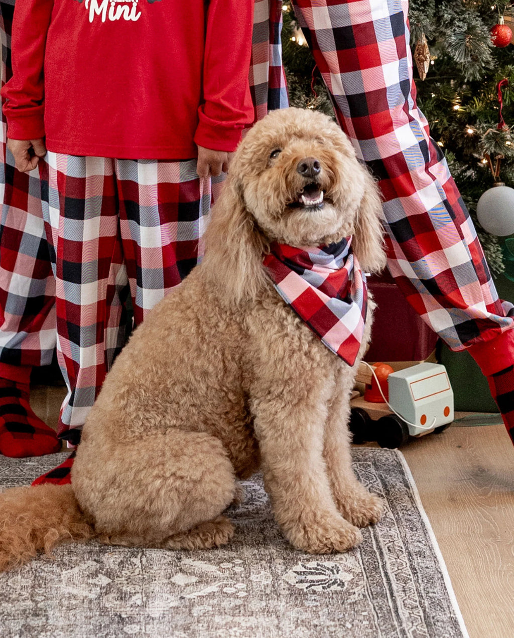 Christmas Matching Family Pajamas Set Glow In The Dark Reindeer Print PJS with Christmas Socks Red