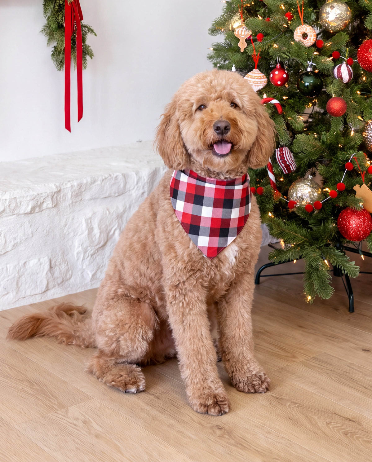 Matching Family Christmas Pajamas Gingerbread & Plaid Print Red