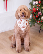 Matching Family Christmas Pajamas Gingerbread Print Red