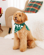Christmas Family Matching Glow in the Dark Reindeer Tops Allover Pattern Pants Pajamas Sets with Christmas Socks