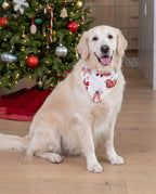 Family Matching Christmas Pajamas Reindeer & Santa Claus Print White Plus Size