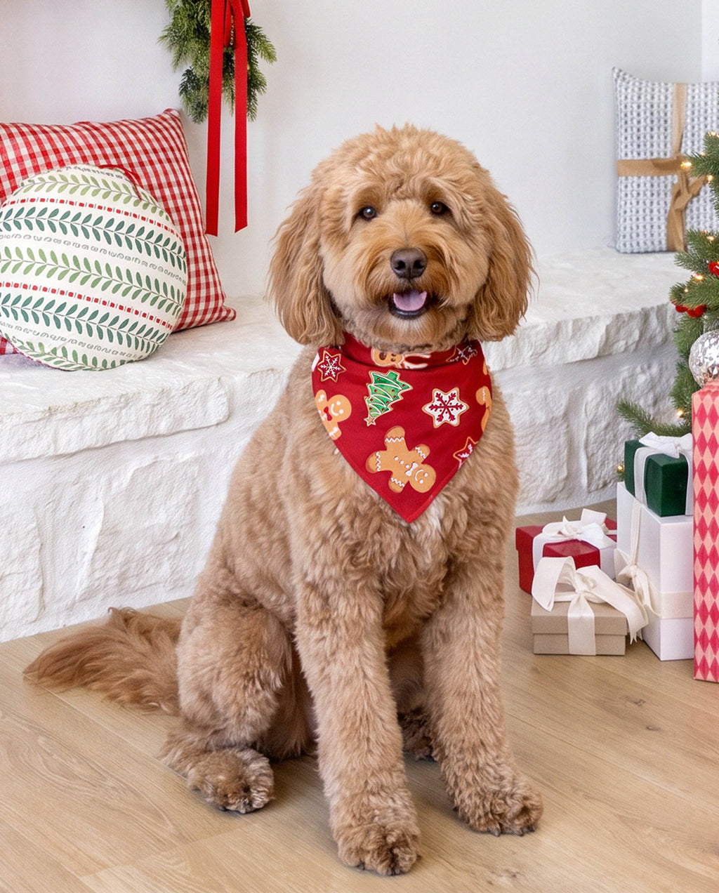 Family Matching Christmas Pajamas Bamboo Gingerbread & Xmas TreeRed
