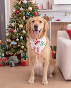 Family Matching Christmas Pajamas Bow & Plaid Print Satin Multicolor
