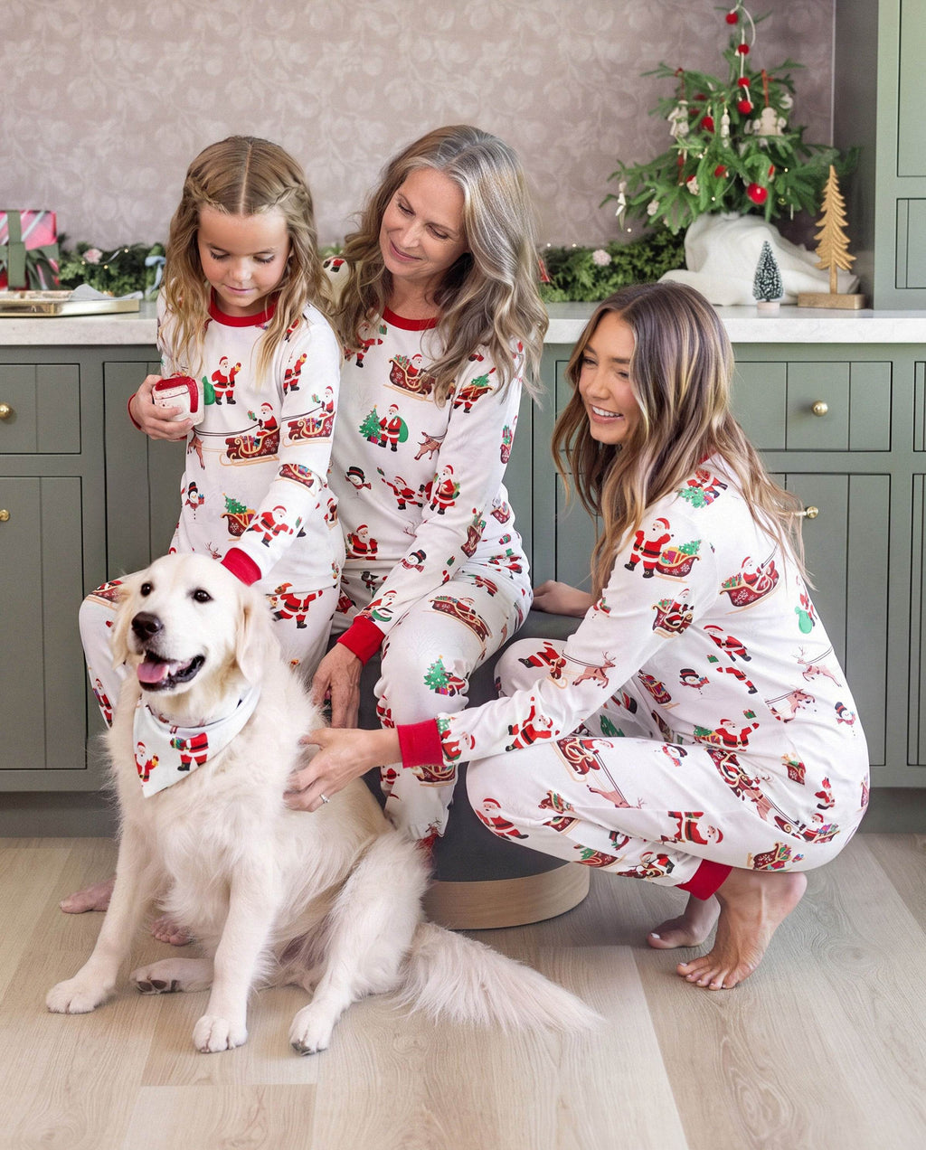 Family Matching Christmas Pajamas Reindeer & Santa Claus Print White Plus Size RED/WHITE