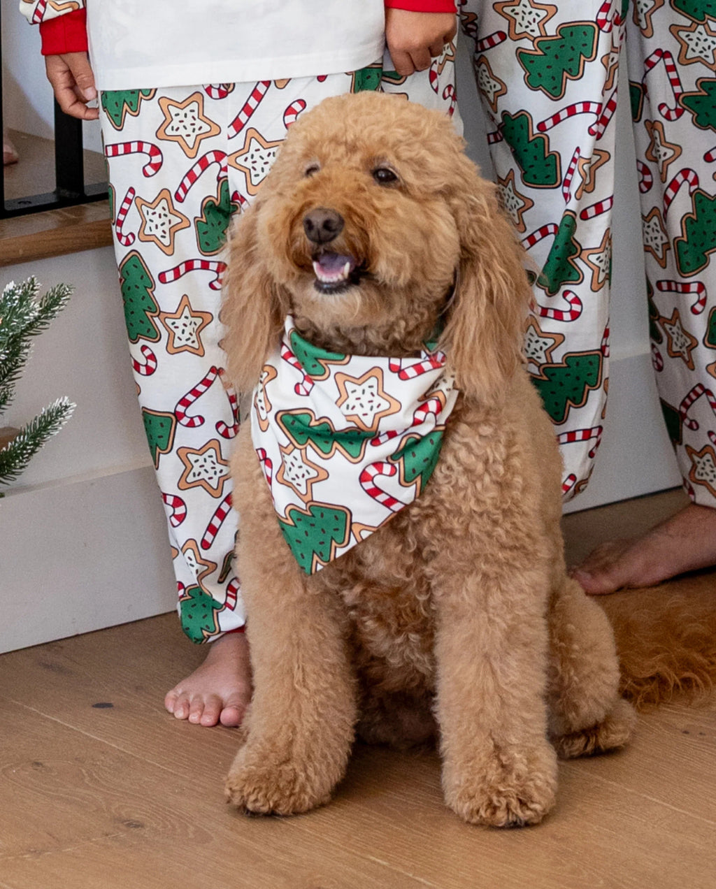 Christmas Matching Family Pajamas Set Christmas Tree Print Red and Apricot PJS with Christmas Socks Apricot