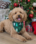 Family Matching Christmas Pajamas Christmas Tree Print Dark Green
