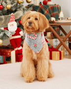 Onesies Pajamas Matching Christmas Outfits Candy Cane Pattern (Glow in the Dark) with Christmas Socks Black