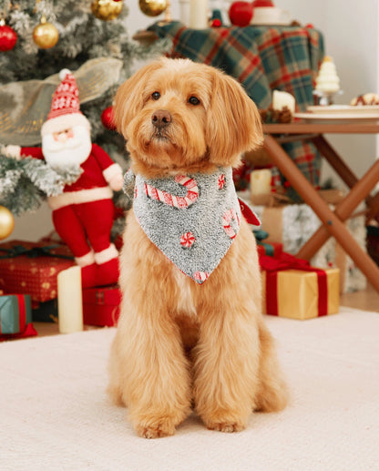 Onesies Pajamas Matching Christmas Outfits Candy Cane Pattern (Glow in the Dark) with Christmas Socks Black